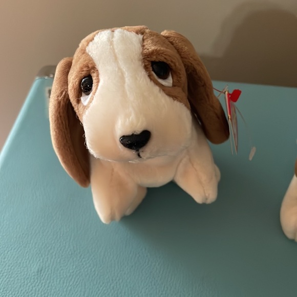 Ty Tracker * Beanie Baby * Date of Birth: June 5, 1997 * Basset Hound - Picture 2 of 13